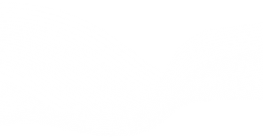 vecteezy_elegant-modern-minimal-abstract-wavy-lines_6319422-[Converted].png