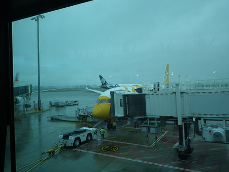 バンコクで、国際児童図書評議会アジア会議に出席の記