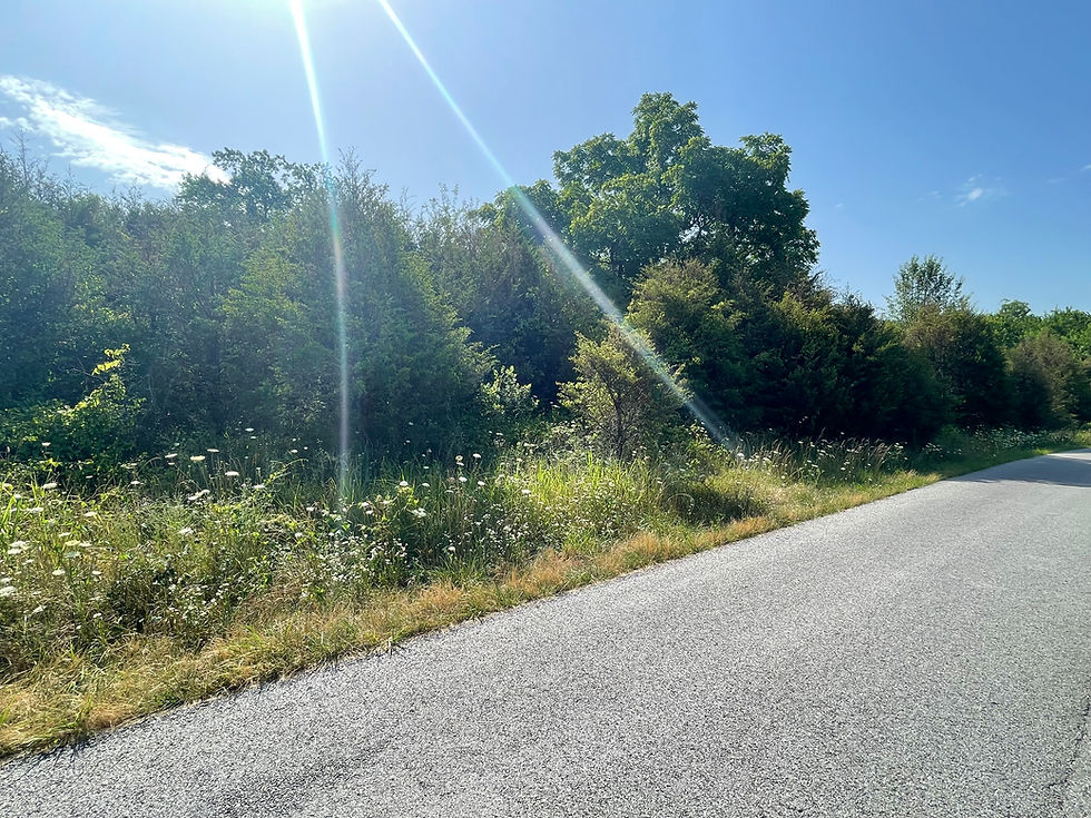 Thumbnail: Vacant Residential lot for sale 320-03240-000