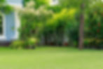 spacious-backyard-grass-garden-plants-flowers-decorate-house.jpg