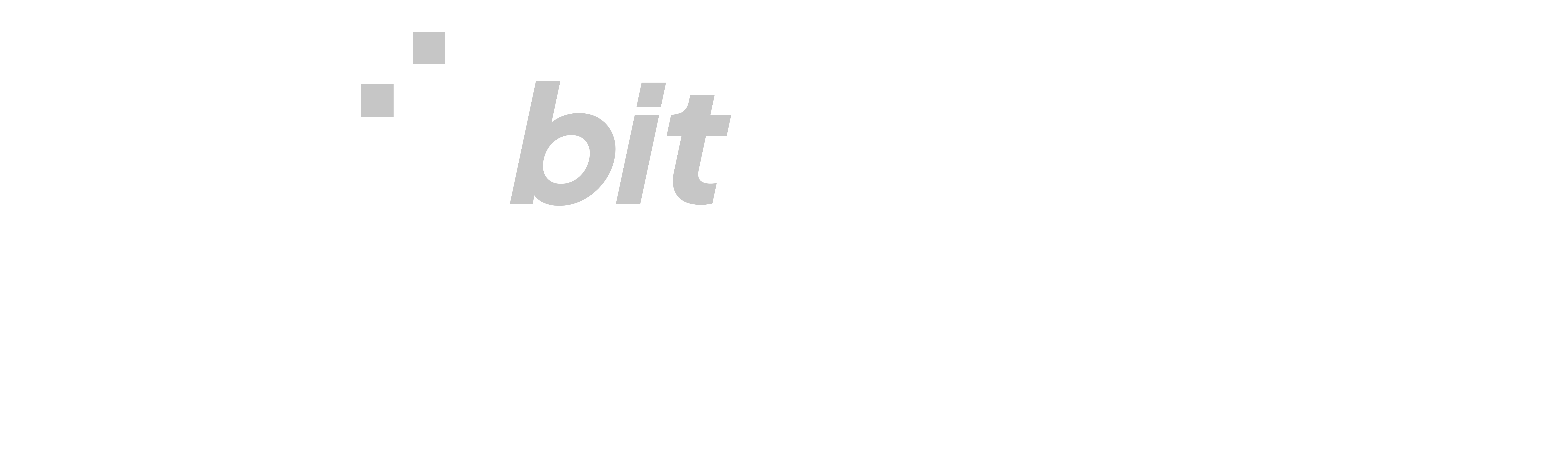 Logo BIT Bildungswelten