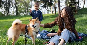 cute-shiba-inu-pet-with-family.jpg