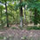 Thumbnail: 72895 Vacant Residential lot for sale