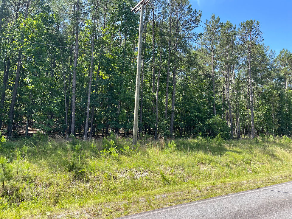Thumbnail: Vacant Residential lot for sale 200-42950-017-000