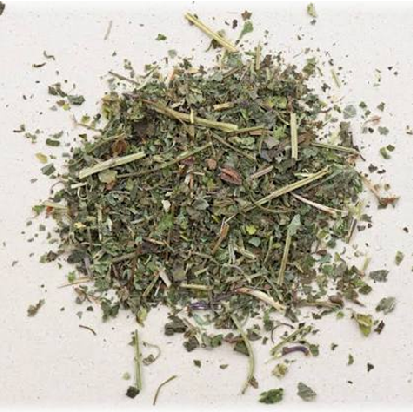 Gundermann kraut Bio gemahlen – Gundelrebe - glechoma Heder Acea herba