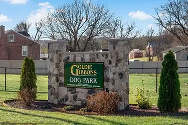 Goldie-Gibbons-Dog-Park02-1024x683.webp
