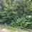 Thumbnail: Vacant Residential lot for sale 320-00710-000