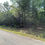 Thumbnail: 19969 Vacant Residential lot for sale