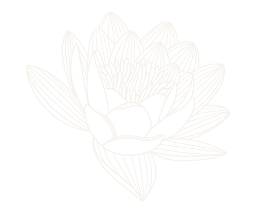 13839341_5351104.png