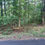 Thumbnail: 60326 Vacant Residential lot for sale
