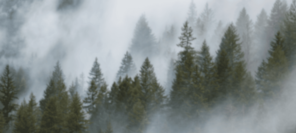 Funnel-Website-Backgrounds-9-.png