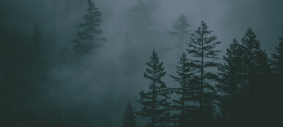 Funnel-Website-Backgrounds-8-.png