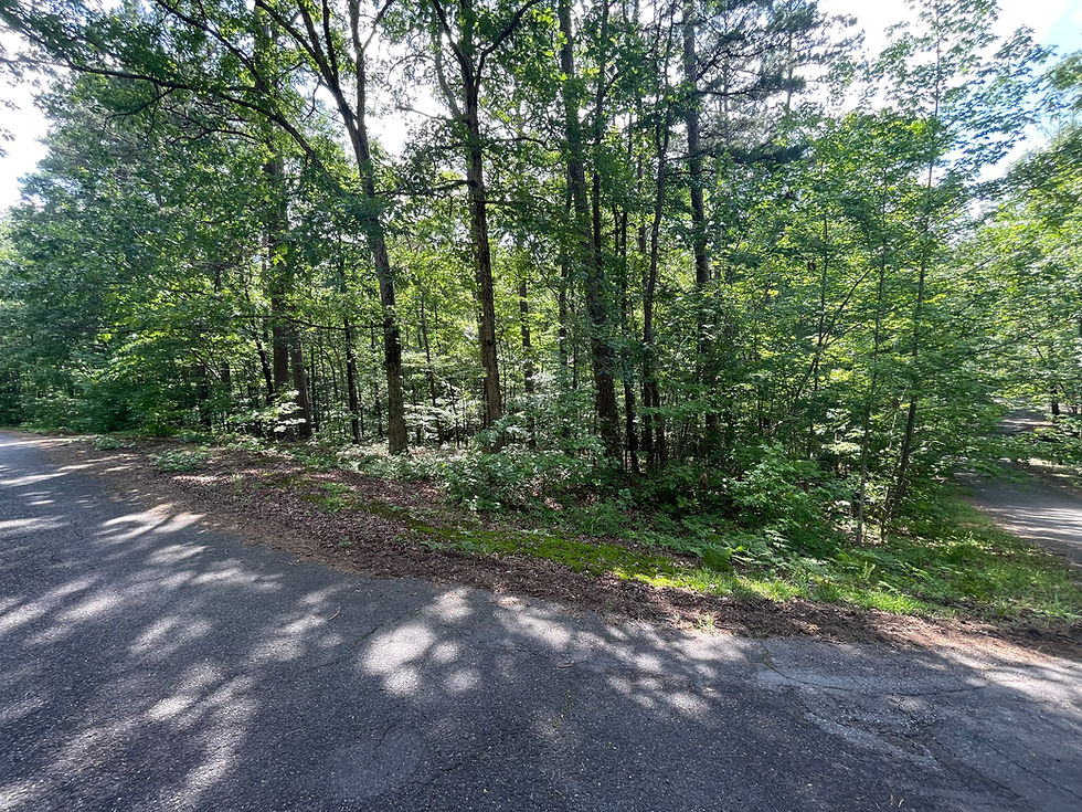 Thumbnail: 60358 Vacant Residential lot for sale