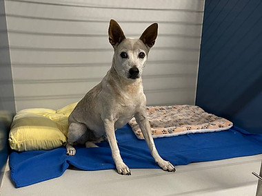 2024-03-22 09.15_edited.jpg