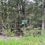 Thumbnail: Land For Sale Near me 21632