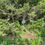 Thumbnail: 19984 Vacant Residential lot for sale