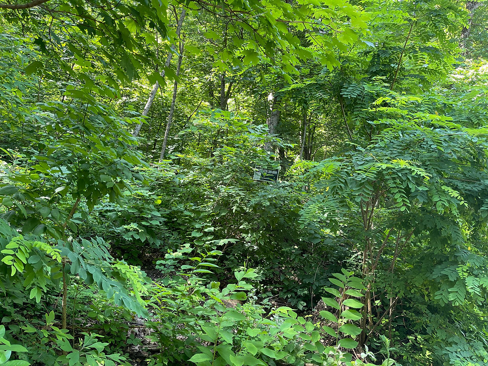 Thumbnail: Vacant Residential lot for sale 320-00710-000
