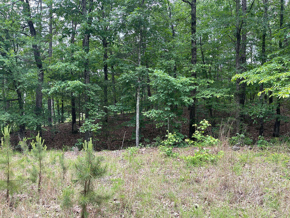 Thumbnail: Vacant Residential lot for sale 4250-02096-0000