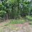 Thumbnail: 60328 Vacant Residential lot for sale