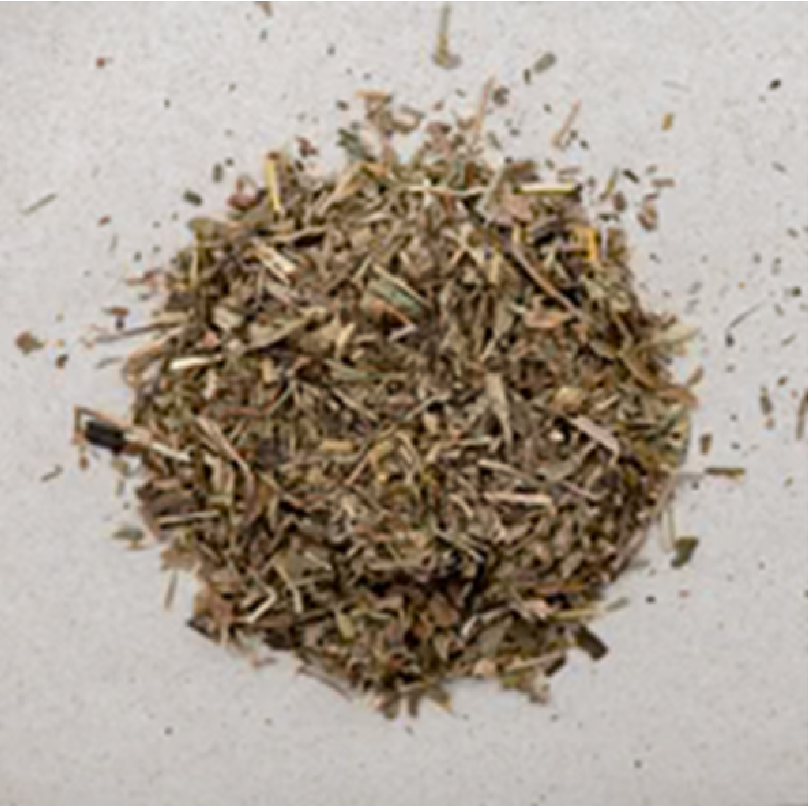 Spitzwegerich Kraut BIO geschnitten, plantago lanceolata