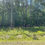 Thumbnail: Vacant Residential lot for sale 200-42950-017-000