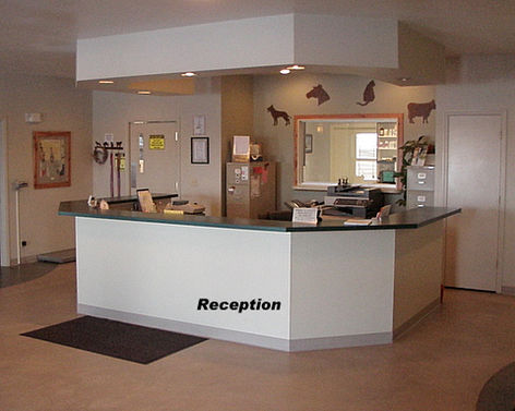 Reception 1.jpg