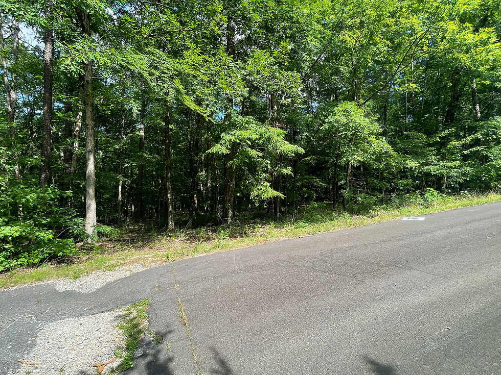 Thumbnail: 60328 Vacant Residential lot for sale