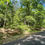 Thumbnail: 64264 Vacant Residential lot for sale