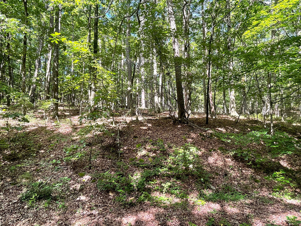 Thumbnail: 64266 Vacant Residential lot for sale