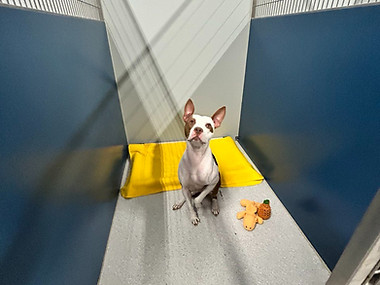 2024-03-22 10.22_edited.jpg