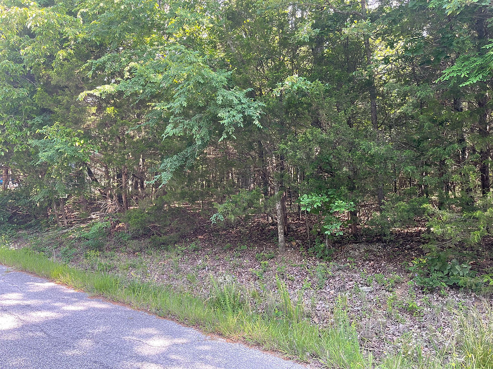 Thumbnail: 19936 Vacant Residential lot for sale