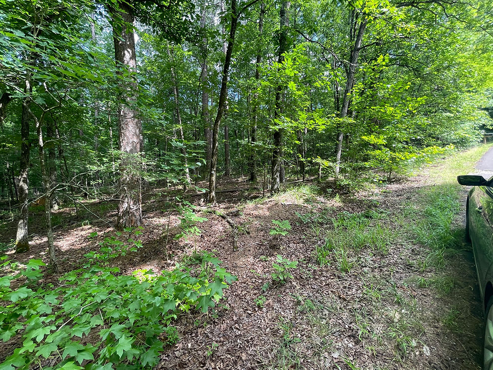 Thumbnail: 60329 Vacant Residential lot for sale