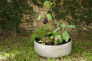 my little garden - demonstration.png