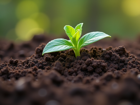 Unlock the Secrets to Thriving Soil Techniques