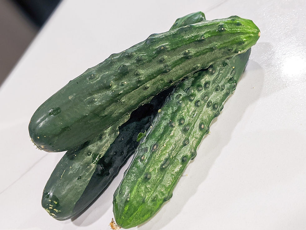 Thumbnail: Fresh Regeneratively Grown Cucumbers – Crisp & Sustainable