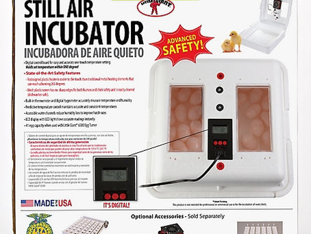Looking For a Reliable Egg Incubator? My Thoughts on Incubators for Small-Scale Farm Hatching