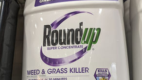 Roundup: Is It Really Worth the Risk? Exploring Alternatives