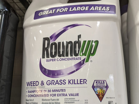 Roundup: Is It Really Worth the Risk? Exploring Alternatives