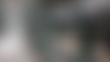 The Ultimate Guide to Understanding the Value of Farm Fresh Organic Farm Eggs Over Store Bought