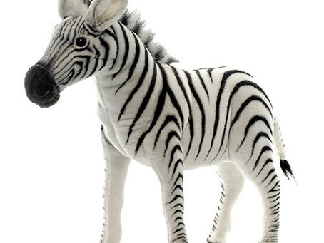 Zebra Free Download For Windows [Updated] 2022