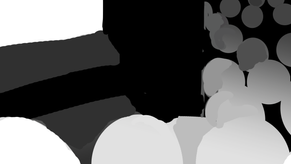 CONTINUITY Process