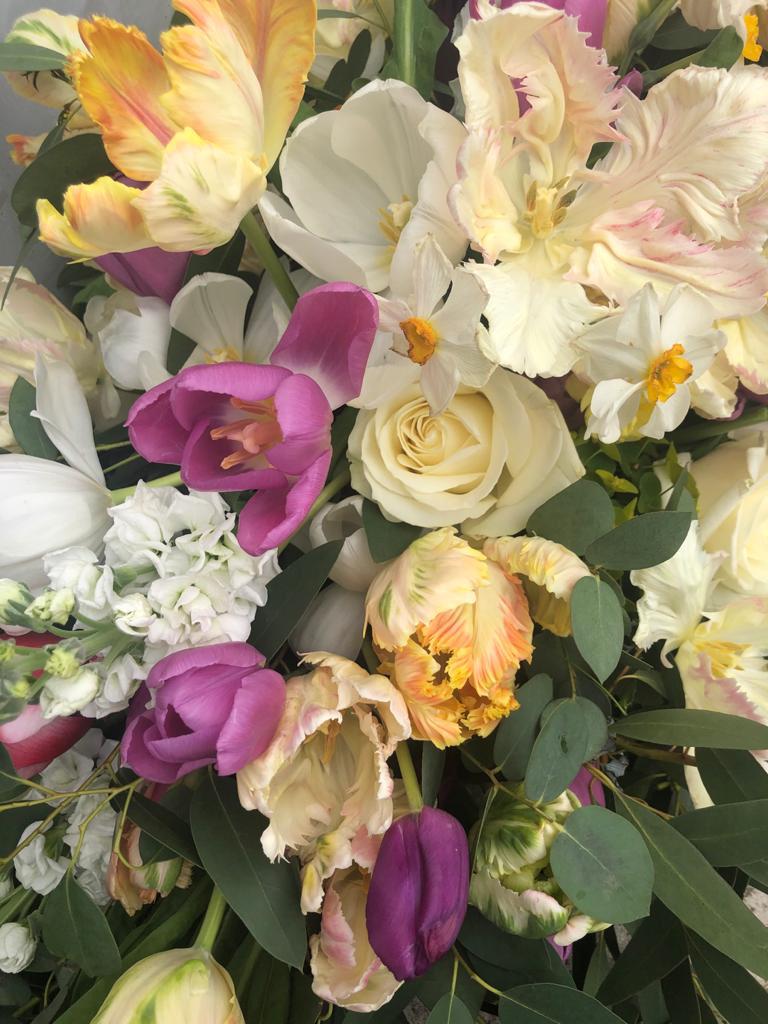 Seasonal Spring Selection