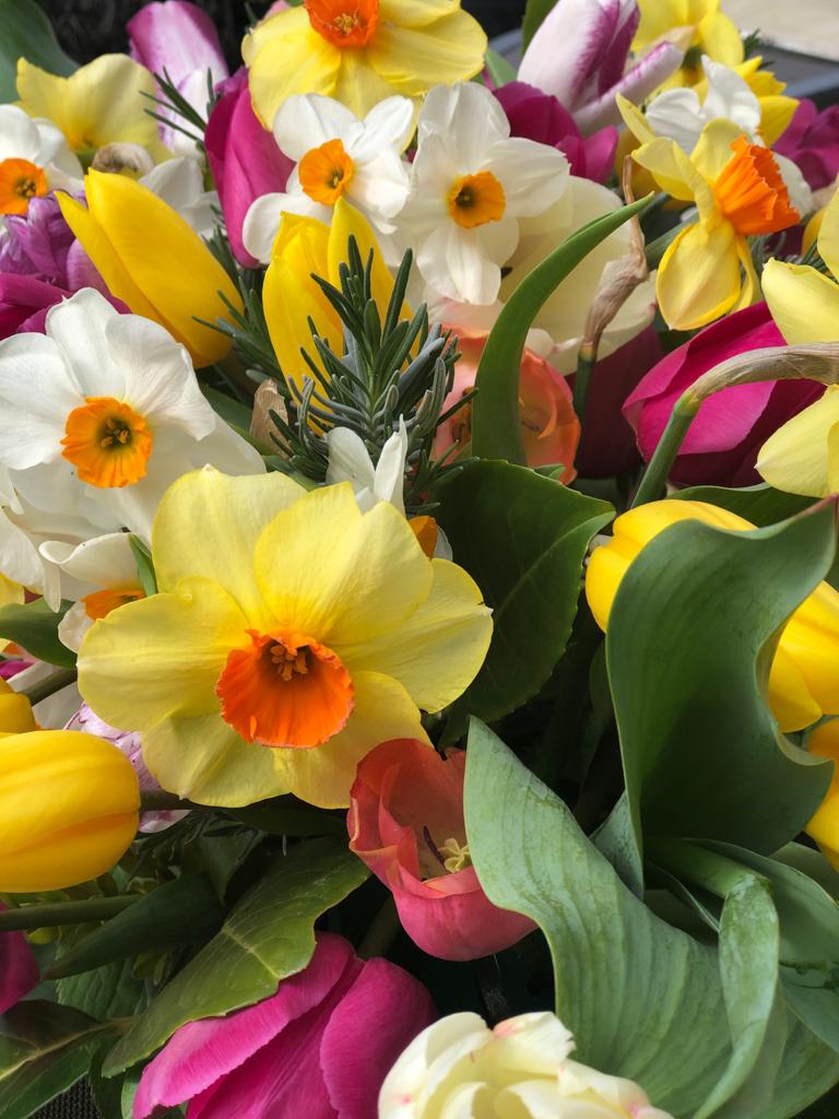 Seasonal Spring Selection