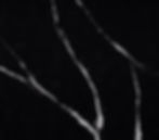 Et Marquina Quartz.jpg