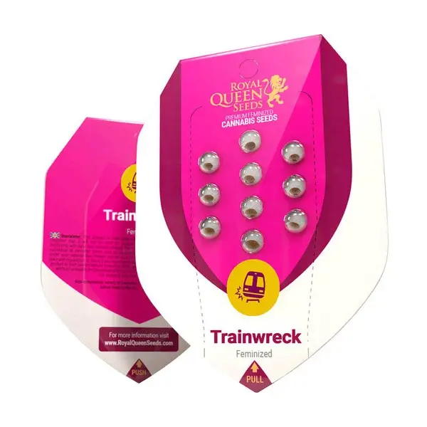 Thumbnail: Trainwreck (FEM)