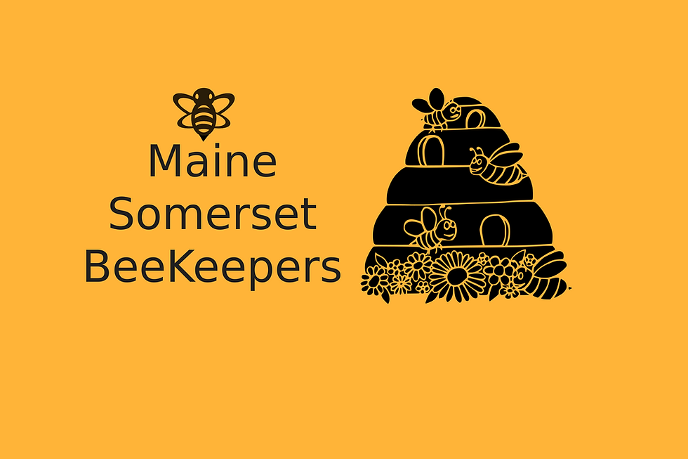 bee header.png