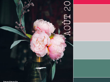 Suggestions de palettes de couleurs