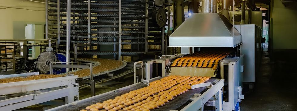 Raumklima Bäckereien, hohe Luftfeuchtigkeit Bäckereien, Schimmelbeseitigung Bäckereien, ERSTex