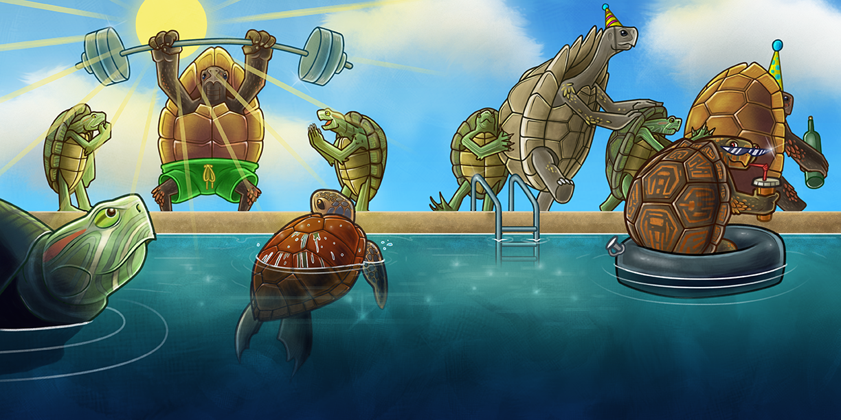 "Don't Call Me Turtle" Spread #4