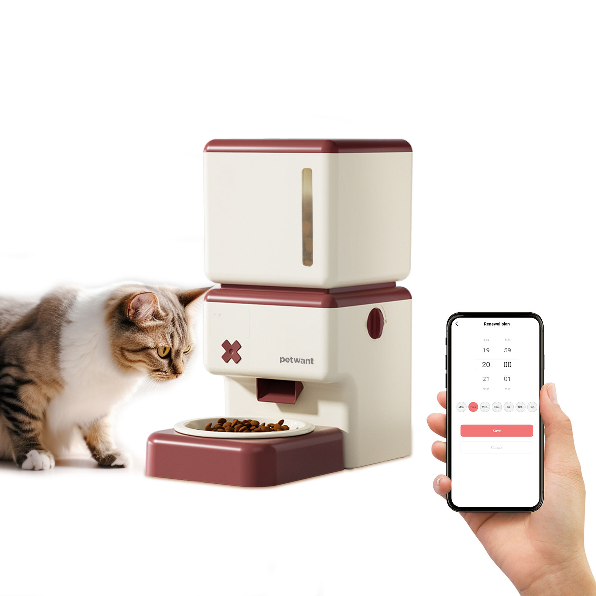 Paiwang 3.5L Wireless Pet Automatic Feeder
